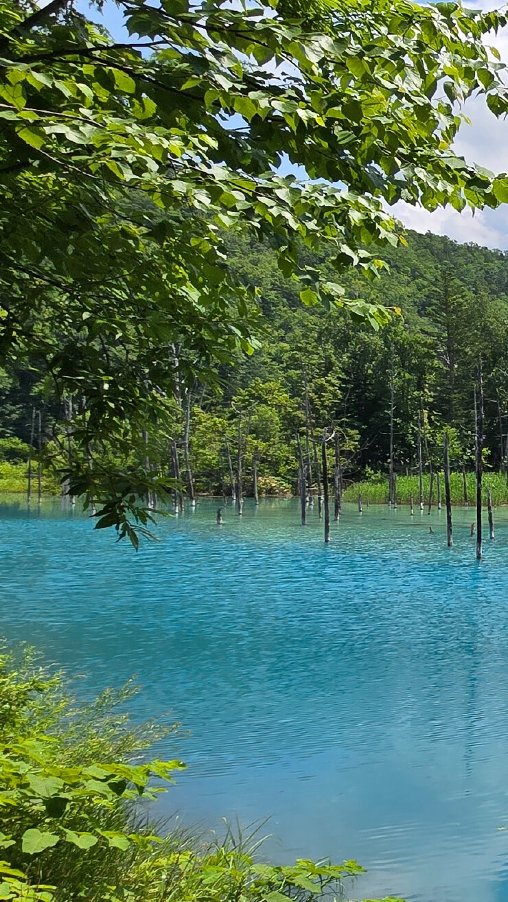 Shirogane Blue Pond